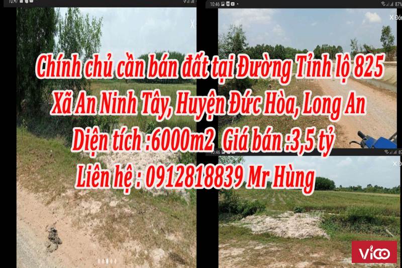 Chính chủ cần bán đất tại Đường Tỉnh lộ 825, Xã An Ninh Tây, Huyện Đức Hòa, Long An