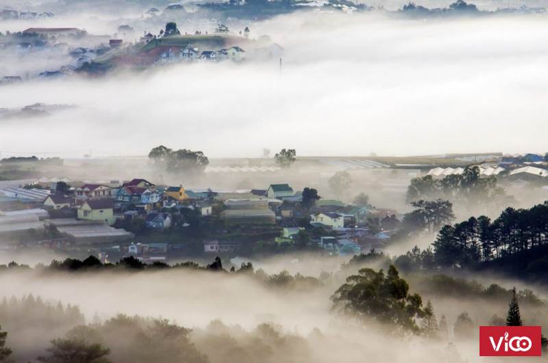 Cần bán Biệt thự Đà lạt sổ riêng xây dựng trên dỉnh đồi view ngắm thành phố săn mây