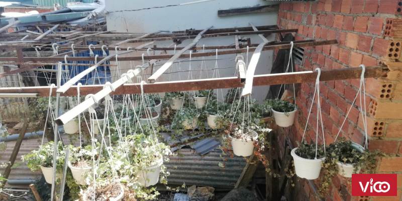 Nhà đất Đà lạt cần bán nhà đông dân cư gần trường đại học đà lạt thích hợp cho việc