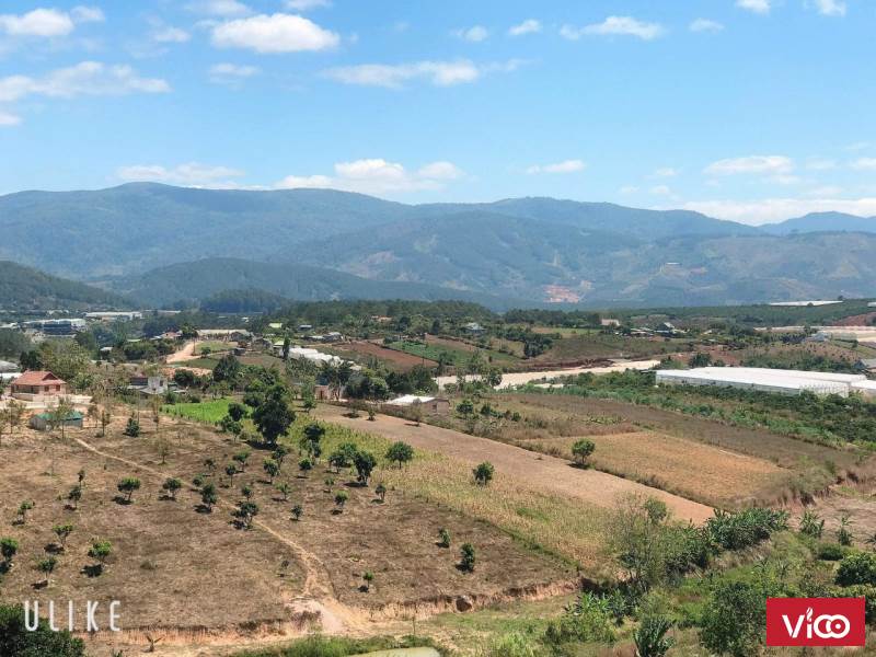 Nhà đất đà lạt cần bán đất Lạc Dương cách Đà Lạt 15km thích hợp đầu tư cho mọi lĩnh vực
