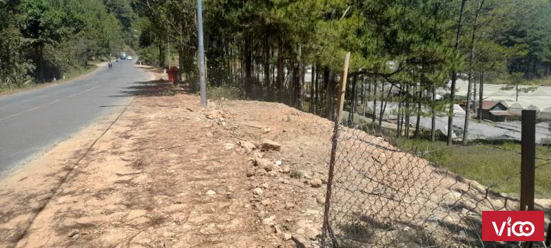 Nhà Đất Đà Lạt cần bán đất có view đẹp bằng phẳng thích hợp xây nhà gỗ , làm home stay .