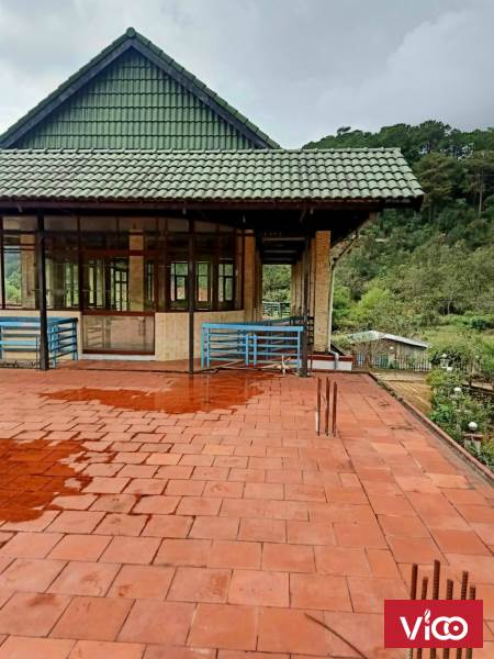 Nhà đất Đà lạt cần bán đất diện tích rộng thích hợp làm khu du lịch howacj xây biệt