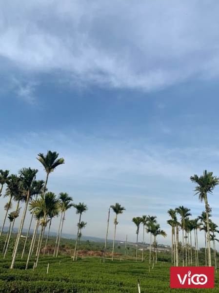 BÁN ĐẤT Ở ĐAMBRI