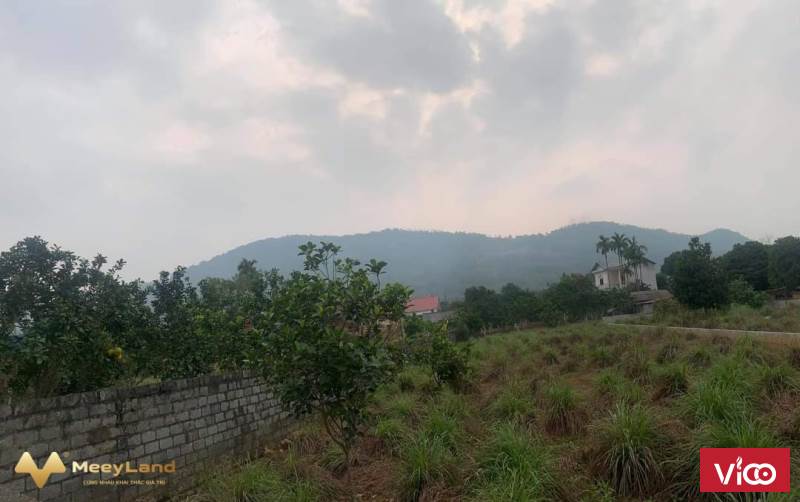 Bán lô đất giá tốt tuyên đường đẹp khu tái định cư đại học quốc gia, xã Thạch Hòa