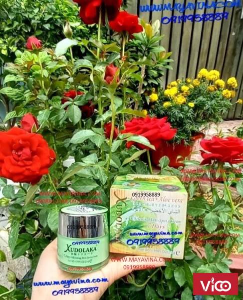 Xudolaka trà xanh nha đam (green tea aloe) cao cấp35G35G