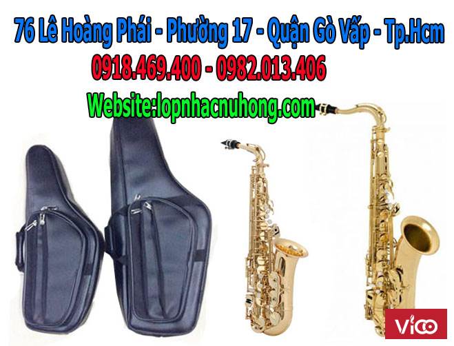 Chuyên bán bao da kèn saxophone