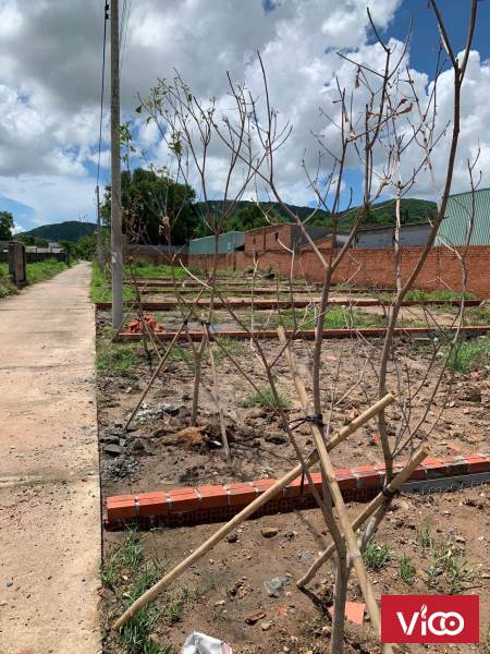 Cần Bán Lô Đất Nhỏ Trung Tâm An Ngãi, Sẵn Thổ Cư, Gía Còn Thương Lượng