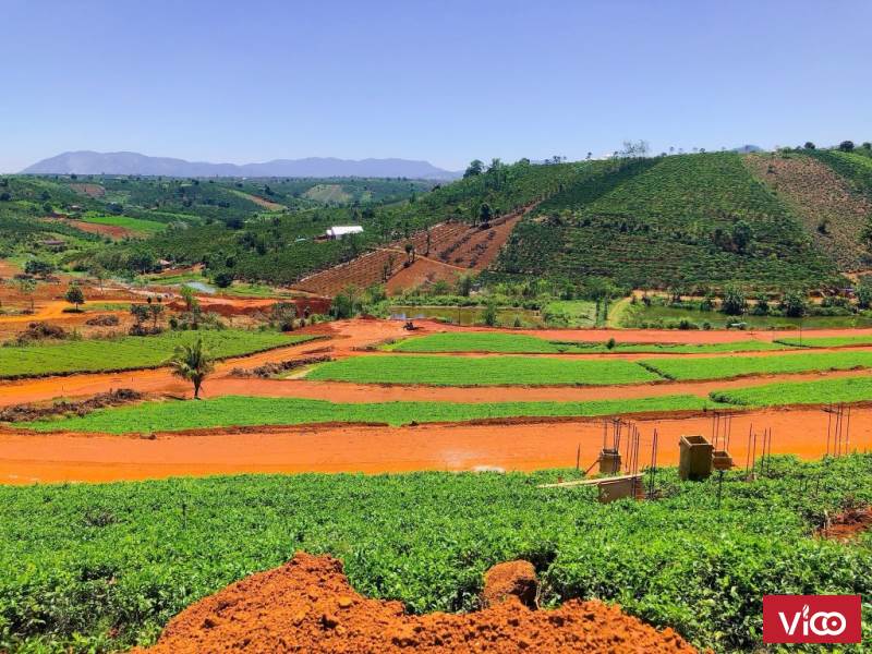 Bán đất nền Lộc Tân Bảo Lộc Cạnh đồi chè Tâm Châu