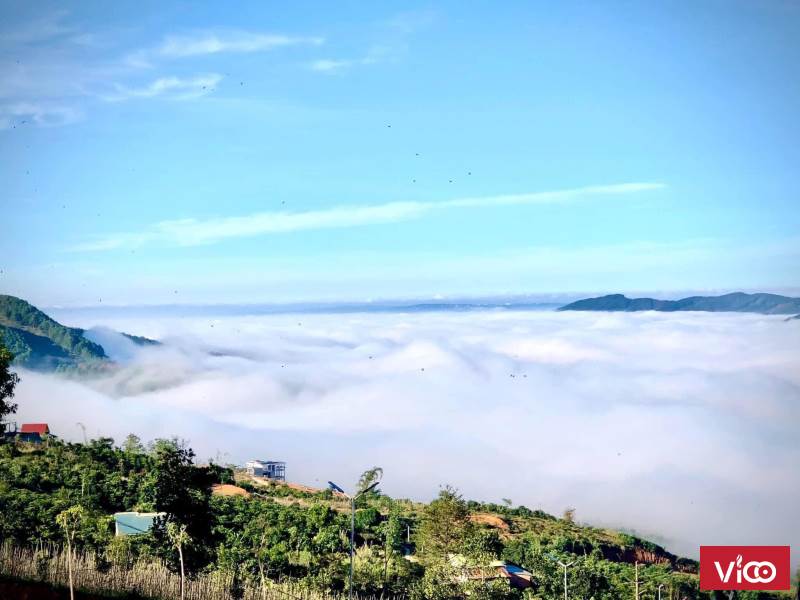 View Đất 3500m2 săn mây và hoàng hôn . Hot nhất Đông Thanh , Đà Lạt