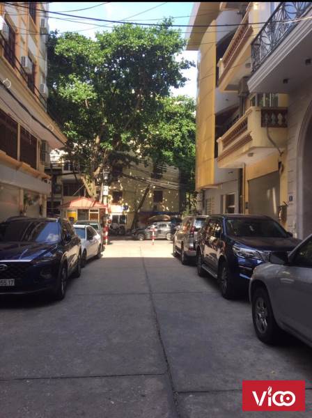 Cho thuê nhà số 11 ngõ 8 Tôn Thất Thiệp, Ba Đình,riêng biệt, chính chủ