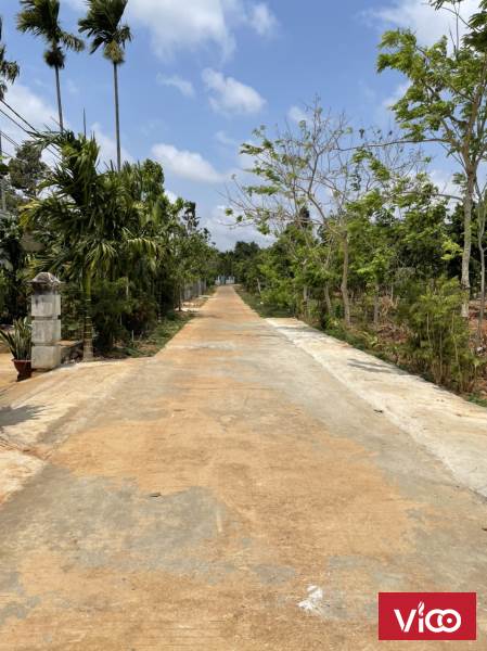 Chính chủ cần bán đất thôn 1 xã Hoà Thắng, TP. BMT cách sân bay 3km