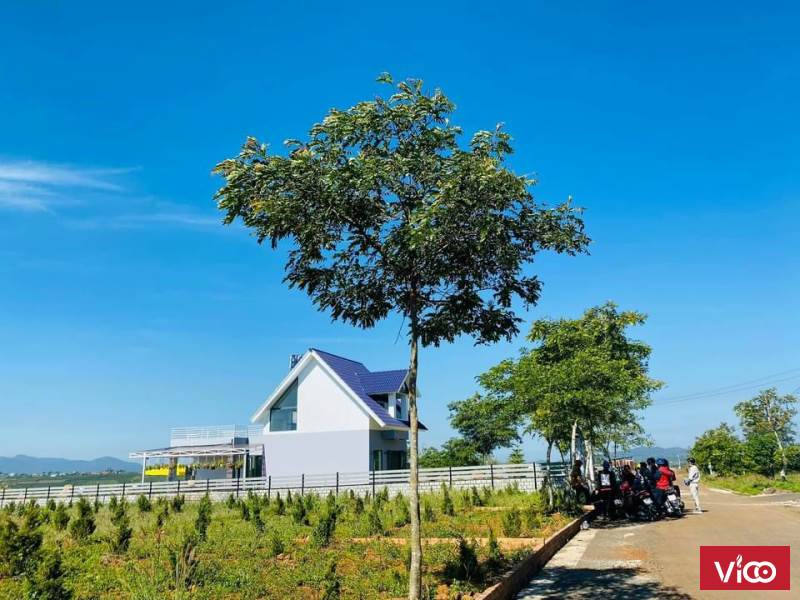Bán lô đất nghỉ dưỡng trên đồi xanh Bảo Lộc, 500m2, SHR Giá chỉ 3 tr/m2 0907897349