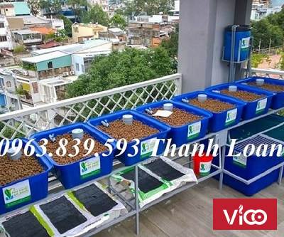 Thùng nhựa chữ nhật 500L nuôi cá, dưỡng cá,... LH 0963.839.593 Ms.Loan