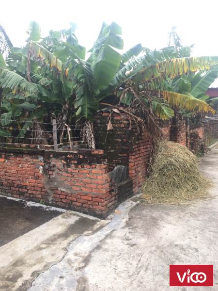 Bán đất chính chủ tại thôn Linh Đông 4, xã Tiến Phong, huyện Vĩnh Bảo, Hải Phòng. Giá tốt