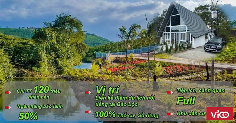 ĐẤT FULL THỔ CƯ BẢO LỘC ĐỐI DIỆN ĐỒI CHÈ TÂM CHÂU GIÁ CHỈ TỪ 590tr/ NỀN