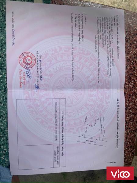 Chính chủ cần bán lô hoa hậu tại thôn Cầu Thượng,xã Quang Hưng,An Lão, Hải Phòng.