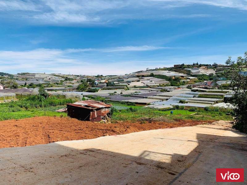 Bán lô đất đẹp rẻ đường Trịnh Hoài Đức phường 11 Đà Lạt.