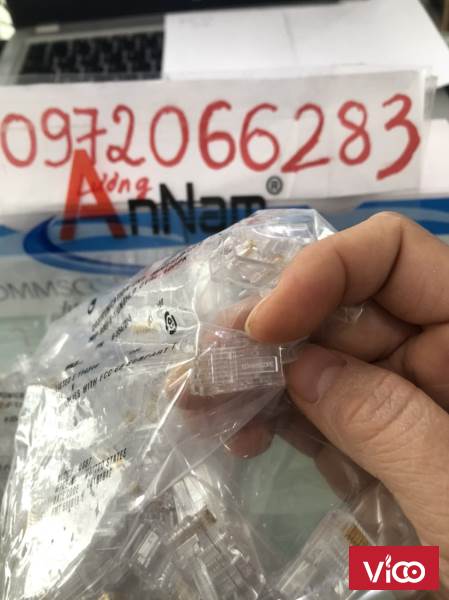 Hạt mạng RJ50 RJ48 commscope bấm mạng 10 chân CONNECTOR sẵn hàng