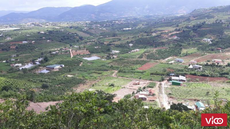 Bán đất chính chủ tại Thôn Thanh Trì, xã Đông Thanh, huyện Lâm Hà, tỉnh Lâm Đồng. Giá tốt