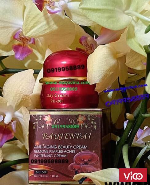 KEM PAUJENPAI SIÊU DƯỠNG TRẮNG DATRỊ NÁMCHỐNG NẮNG