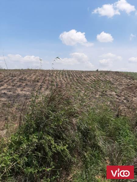 Bán 10ha đất Xã Ea Sar, Huyện Ea Kar, Đắk Lắk.