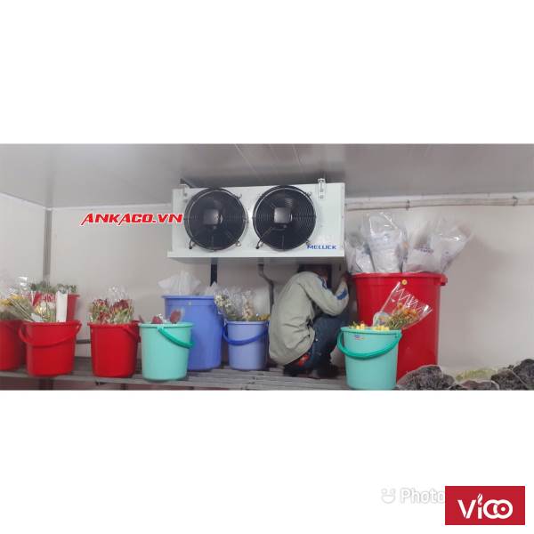 Báo giá trọn gói kho lạnh bảo quản hoa tươi tại quận 8