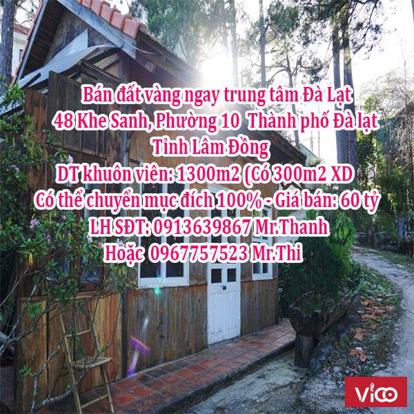 Bán đất vàng ngay trung tâm Đà Lạt Chùa Tàu, tọa lạc Phường 10 Thành Phố Đà Lạt.
