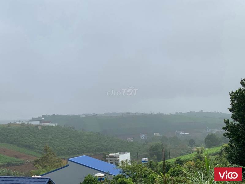 Bán đất Xã Đam Bri, Bảo Lộc, Lâm Đồng.