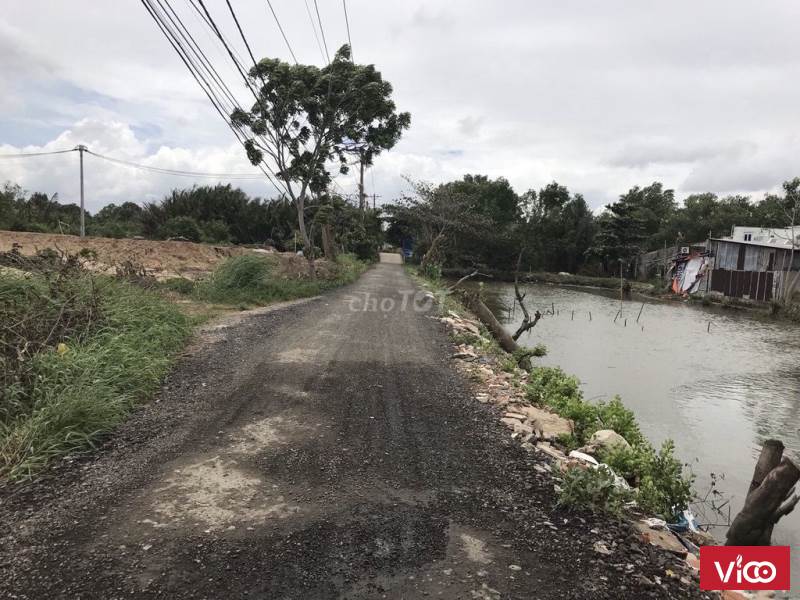 Bán Đất nền Đường C3, Xã Bình Hưng, Huyện Bình Chánh