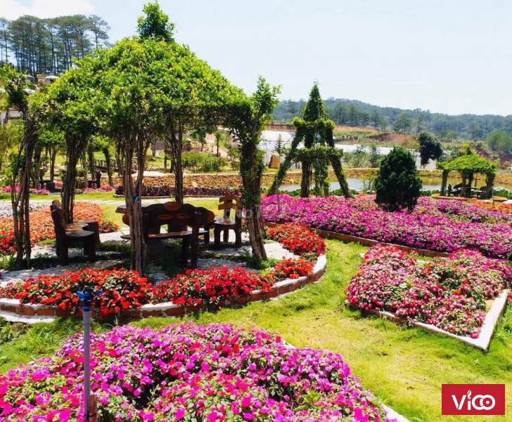 Bán đất Xã Lát, Huyện Lạc Dương, Lâm Đồng.