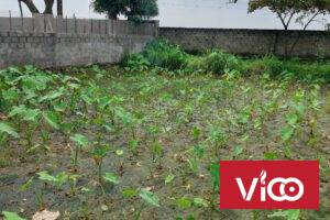 Bán lô đất Như Kiều, Quốc Tuấn, An Dương, Hải Phòng