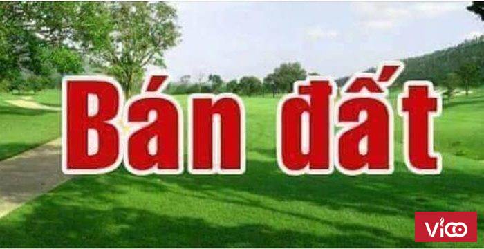 Bán đất diện tích 510m thổ cư (đã tách 2sô đỏ) tại ấp hồ. Thuận Thành Bắc Ninh Giá 10.5tr/m