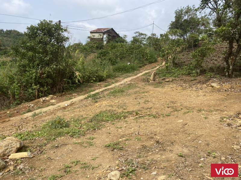 Bán đất nghỉ dưỡng có suối và ao quanh đất tp bảo lộc