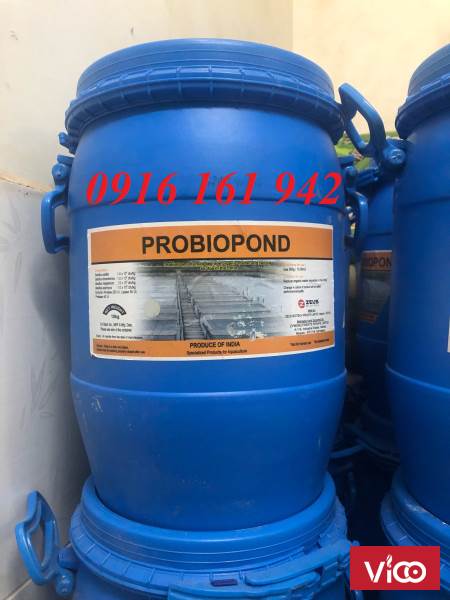 Probiopond men vi sinh cao cấp xử lý đáy ao nuôi ô nhiễm , xử lý tảo