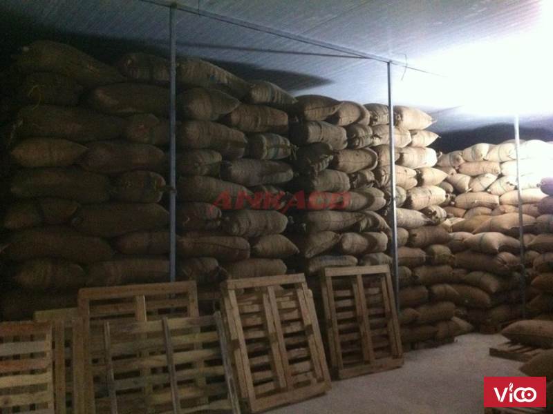 báo giá lắp đặt kho lạnh bảo quản nông sản tại daklak