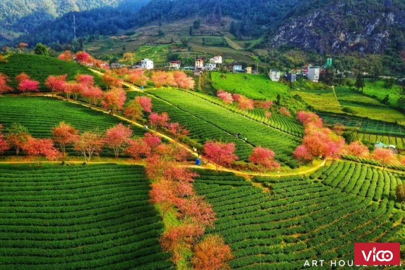 Cần bán đất tại Phường Ô Quý Hồ, Sa Pa, Lào Cai, giá đầu tư