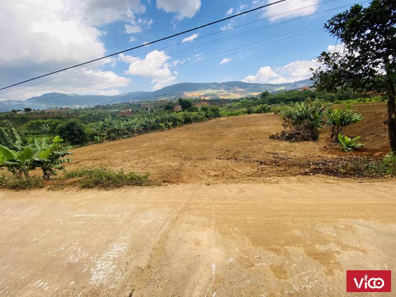 2800m2 Đất có Ao Suối tự nhiên tại ngoại ô Đà Lạt