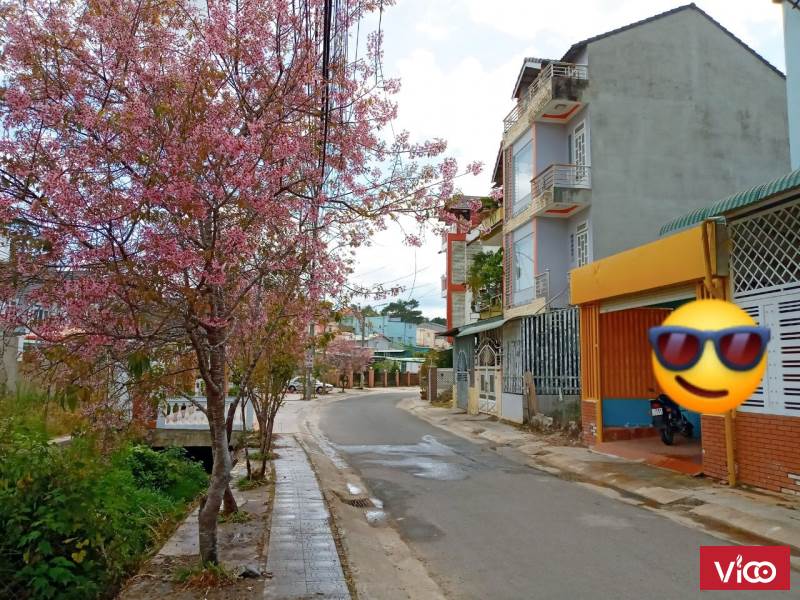 NHÀ KHU QUY HOẠCH YESSIN PHƯỜNG 9 TP ĐÀ LẠT 0911451686 ĐOÀN TÂM