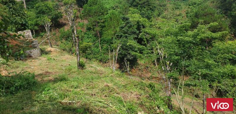 BÁN ĐẤT LÊ VĂN TÁM , Phường 10, Đà Lạt