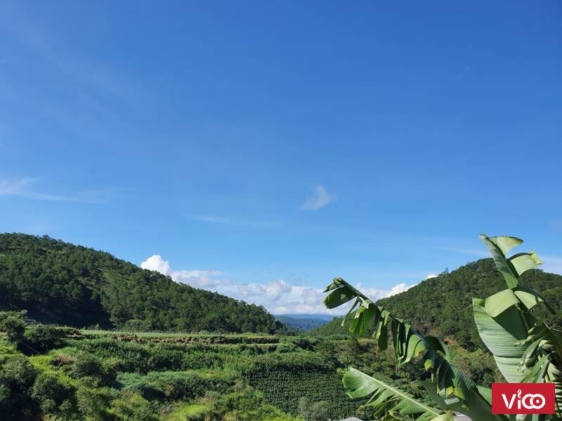 Đất view siêu đẹp, đầu tư làm cafe kết hợp farmstay, kẹt vốn nên sang lại gấp LH a Vinh 0909 368 338
