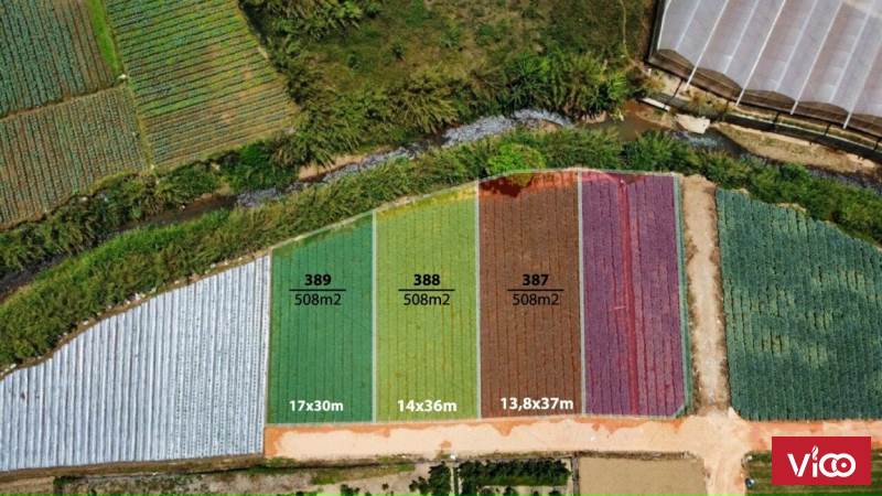 Bán lô đất đẹp Đường đèo MiMoSa