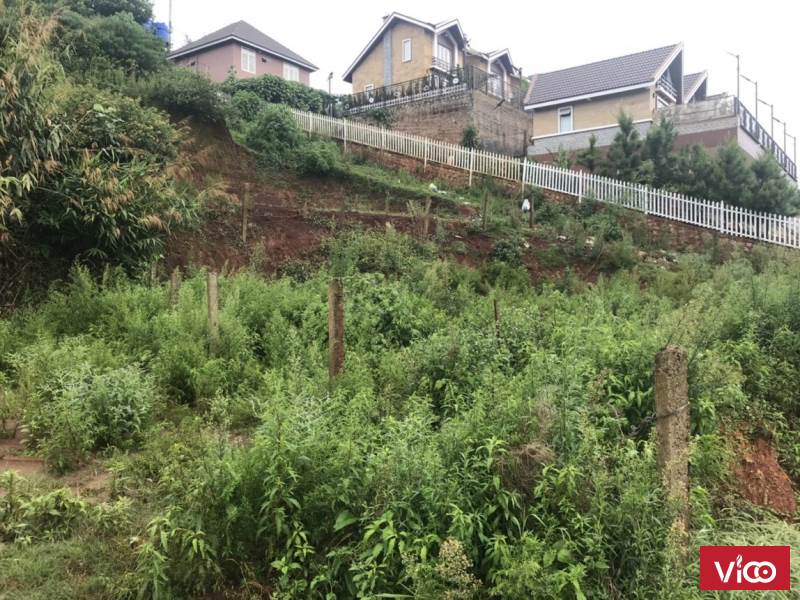 Bán Đất Măng Linh, Phường 7