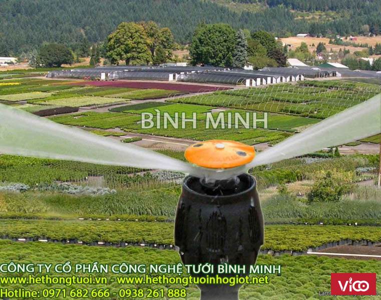 tưới phun mua, béc tưới phun mưa, vòi tưới phun mưa, béc tưới phun mưa cho rau, béc tưới rau