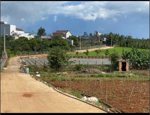 Cần bán lô đất 2000m2 giá 2,4 tỷ Tân Hội, Đức Trọng, tỉnh Lâm Đồng