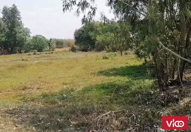 Bán Đất Đường Đá Xanh 5M 2.700M2 Chỉ 1 Tỷ 750 Mỹ Thạnh Đông, Đức Huệ