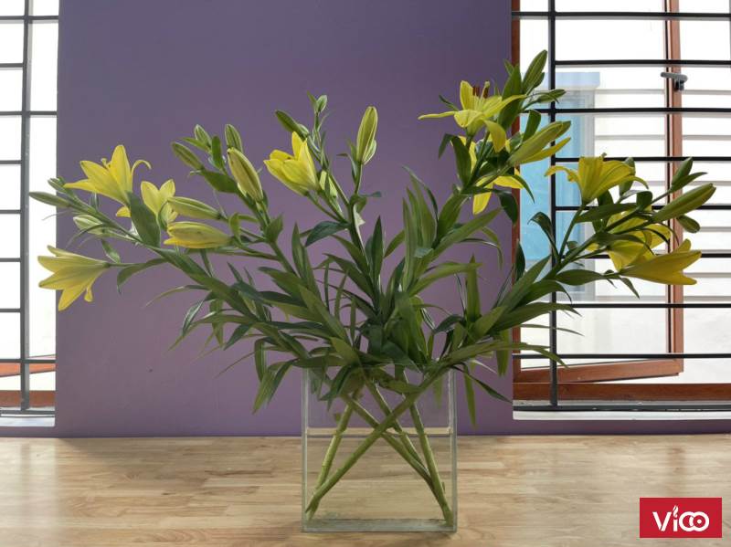 Chính chủ cần cho thuê biệt thự làm văn phòng tại KĐT Nam Cường, Dương Nội, Hà Đông, DT 125m2x4.5