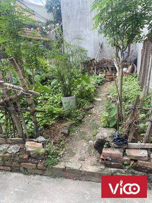 Bán đất phố Nha, Long Biên, 50m2 ngõ rộng, giá 2.9 tỷ. 0942347171