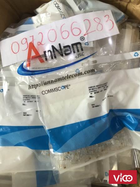 Hạt đầu bấm RJ12 Cat3 AMP/Commscope loại 6p6cHạt điện thoại