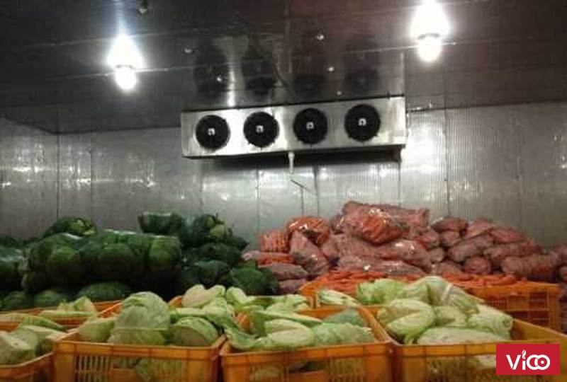ANKACO lắp đặt kho lạnh bảo quản rau củ giá tốt