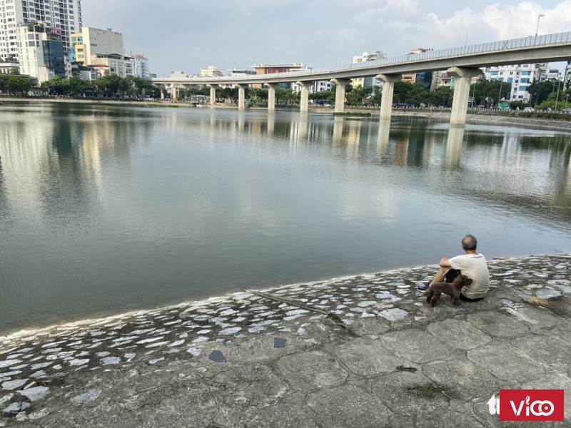 Bán biệt thự Đống Đa
